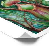Nepenthes Marcophylla Waterverf Art Poster (Hoek)