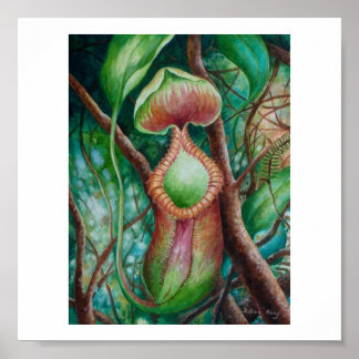 Nepenthes Marcophylla Waterverf Art Poster