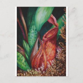 Nepenthes of Borneo Waterverf Art Briefkaart