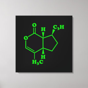 Nepetalacton Moleculaire chemische formule Canvas Afdruk