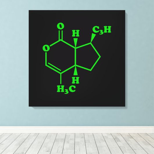 Nepetalacton Moleculaire chemische formule Canvas Afdruk (Insitu (Houten vloer))