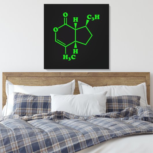 Nepetalacton Moleculaire chemische formule Canvas Afdruk (Insitu (Slaapkamer))