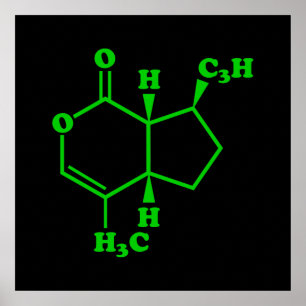 Nepetalacton Moleculaire chemische formule Poster