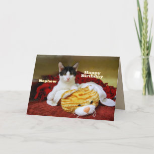 Nephew Happy Birthday Kitten met Speelgoed Tiger Kaart