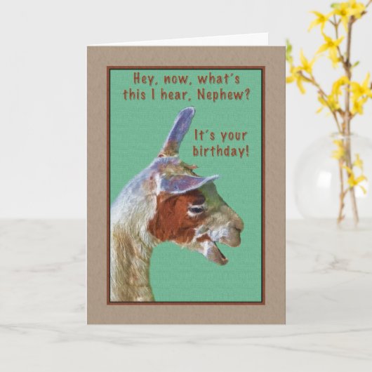 Nephew, Verjaardag, Lachende Llama Kaart (Gele Bloem)