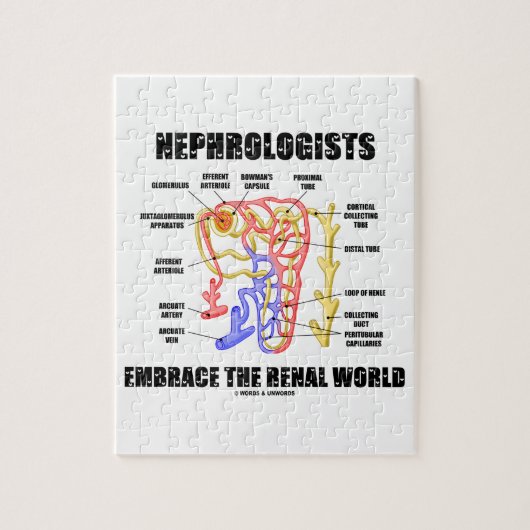 Nephrologen breken de renale wereld (Nephron) Legpuzzel (Verticaal)