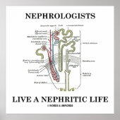 Nephrologen leven een nefritisch leven (Nephron) Poster (Voorkant)