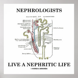 Nephrologen leven een nefritisch leven (Nephron) Poster