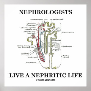 Nephrologen leven een nefritisch leven (Nephron) Poster