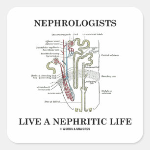 Nephrologen leven een nefritisch leven (Nephron) Vierkante Sticker