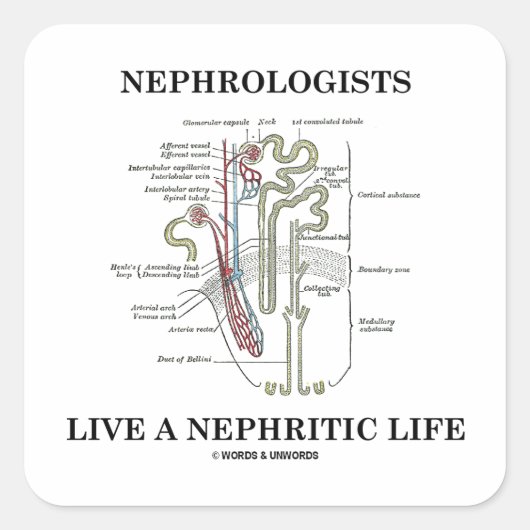 Nephrologen leven een nefritisch leven (Nephron) Vierkante Sticker (Voorkant)