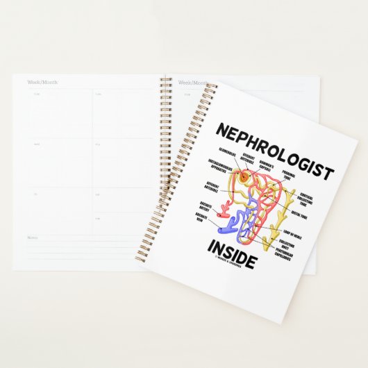 Nephroloog Inside Kidney Nephron Planner (Display)