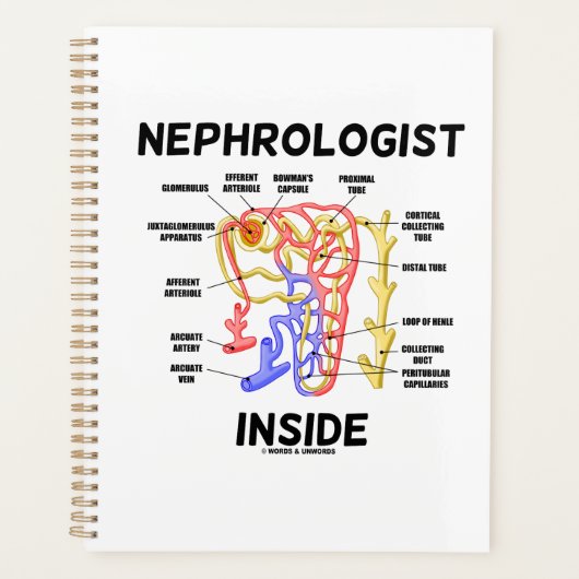 Nephroloog Inside Kidney Nephron Planner (Voorkant)