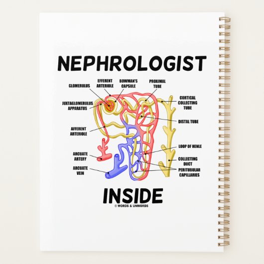 Nephroloog Inside Kidney Nephron Planner (Achterkant)