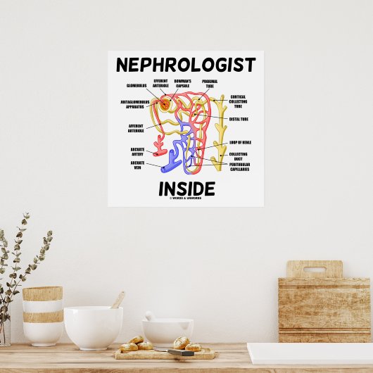 Nephroloog Inside Kidney Nephron Poster (Keuken)