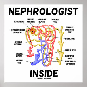 Nephroloog Inside Kidney Nephron Poster
