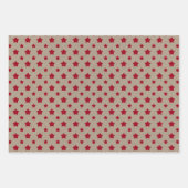 Nepperig kraftpapier met sterren, strepen en polka inpakpapier vel (Voorkant)