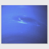 NEPTUNE CADEAUPAPIER (Vlak)