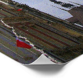 Neptune Poster (Hoek)