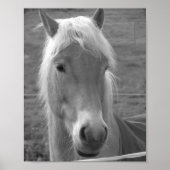 Neptune Poster (Voorkant)