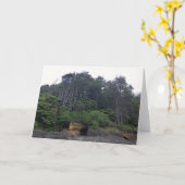 Neptune State Park, OF Kaart (Gele Bloem)