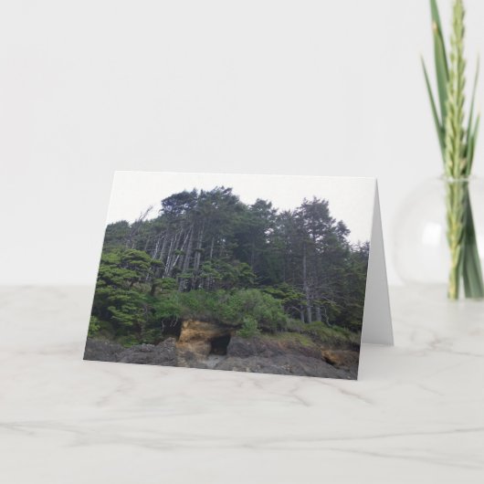 Neptune State Park, OF Kaart (Voorkant)