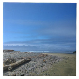 Neptune State Park, OF Tegeltje