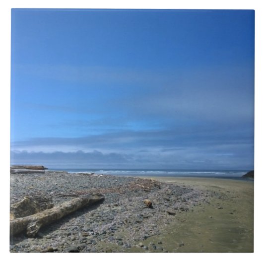Neptune State Park, OF Tegeltje (Voorkant)