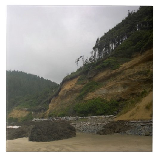 Neptune State Park, OF Tegeltje (Voorkant)