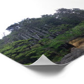 Neptune State Park, OR Poster (Hoek)