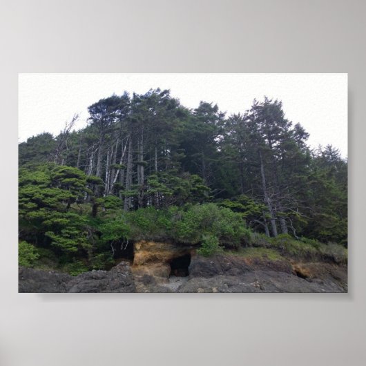 Neptune State Park, OR Poster (Voorkant)