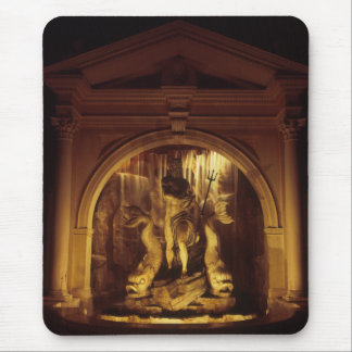 Neptune's Grotto Muismat