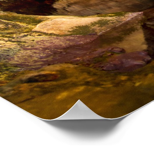 Neptune's Grotto, poster Sardinië (Hoek)