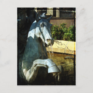 Neptune's Horse, Plaza Fountain Detail 2 Briefkaart