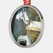 Neptune's Horse, Plaza Fountain Detail 2 Metalen Ornament (Links)