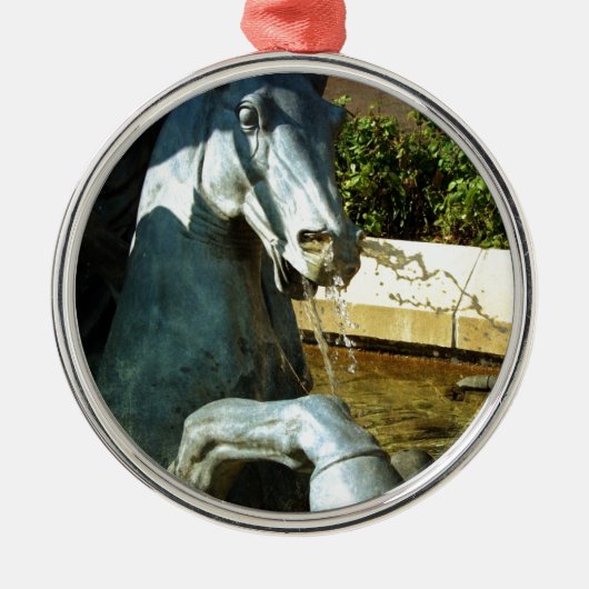 Neptune's Horse, Plaza Fountain Detail 2 Metalen Ornament (Voorkant)