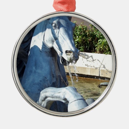 Neptunes paard, Plaza Fountain Detail Metalen Ornament (Voorkant)