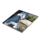 Neptunes paard, Plaza Fountain Detail Tegeltje (Zijkant)