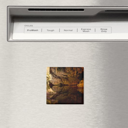 Neptunus Grotto, Sardijnse magneet (Insitu (Vaatwasser))