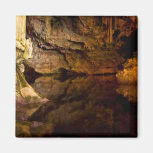 Neptunus Grotto, Sardijnse magneet