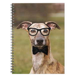 Nerd Whippet met bril en Notitieboek van Stropdas