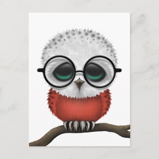 Nerdy Poolse Baby Owl Chic Briefkaart (Voorkant)