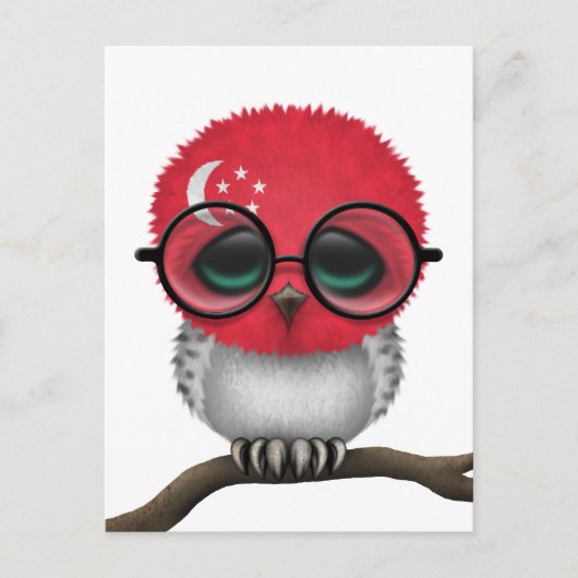 Nerdy Singapore Baby Owl Chic Briefkaart (Voorkant)