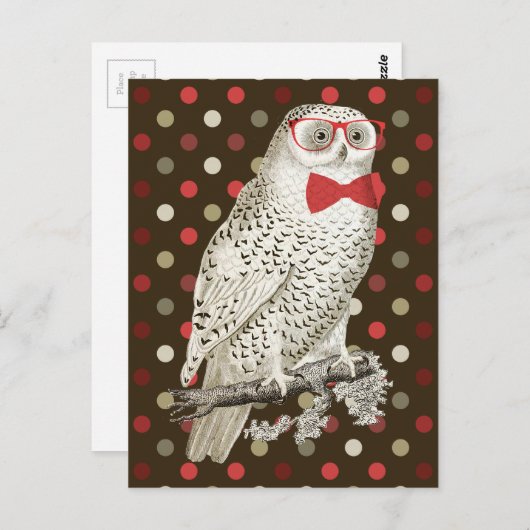 Nerdy  Snowy Owl Briefkaart (Voorkant / Achterkant)