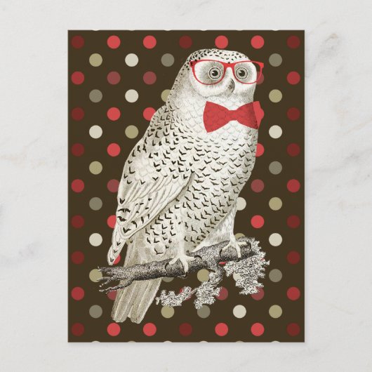 Nerdy  Snowy Owl Briefkaart (Voorkant)