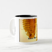 Nereis, Nereis Mok (Voorkant links)