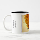 Nereis, Nereis Mok (Links)