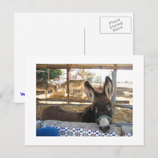 Nerja Donkey Sanctuary Briefkaart (Voorkant / Achterkant)
