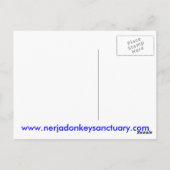 Nerja Donkey Sanctuary Briefkaart (Achterkant)