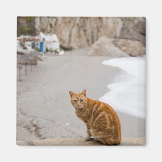 nerja malaga andalusië spanje magneet (Voorkant)